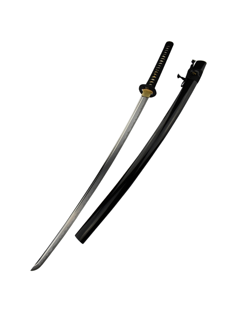 Shinto Katana Hanwei - Traditional Handmade T10 Carbon Steel Sword - M